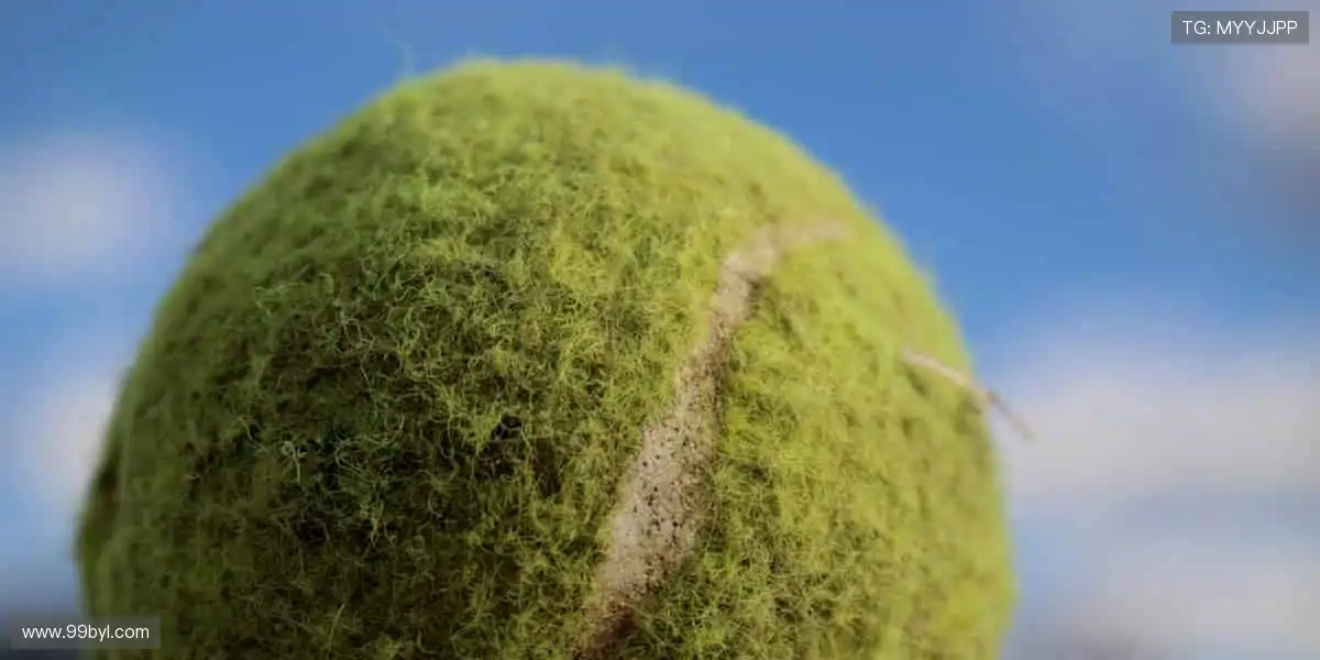 热爱不止,运动不息,尽在这里!❤️🏃♂️